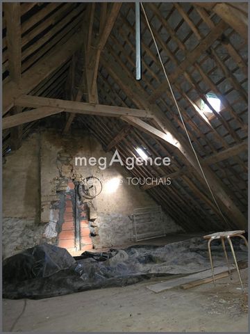 photo no. 12