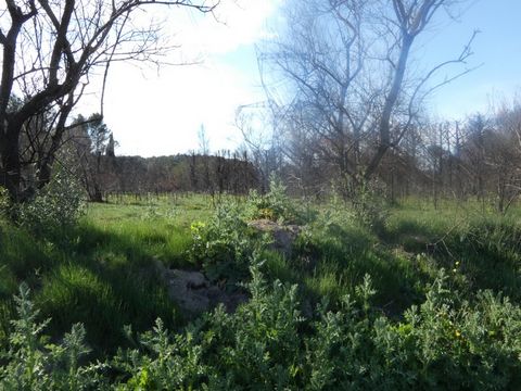 photo no. 1