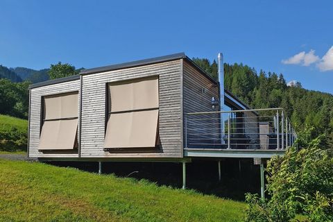 Zowel in de winter als in de zomer een echte beleving: de lofts op vakantiepark Gaal. Of het nu gaat om wandelen, fietsen of een dagje aan het zwemmeer, hier in Gaal verveel je je geen moment. Nieuw gebouwde en modern ingerichte vakantieappartementen...