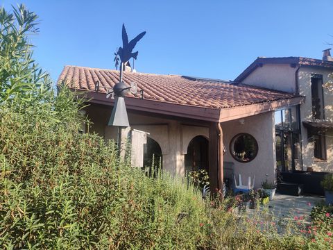 photo no. 2