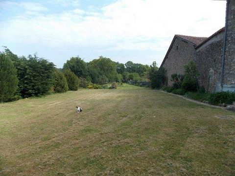 photo no. 11