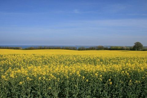 Este apartamento de vacaciones de dos habitaciones amueblado con buen gusto está situado en una zona tranquila en el corazón de Klütz, una pequeña ciudad en el noroeste de Mecklemburgo, en la costa báltica de Mecklemburgo, entre las ciudades hanseáti...