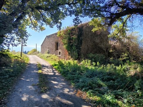 Domaine agricole sur 53 hectares en pleine nature