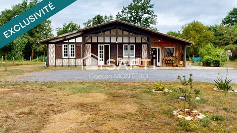 Nouveauté à Labouheyre