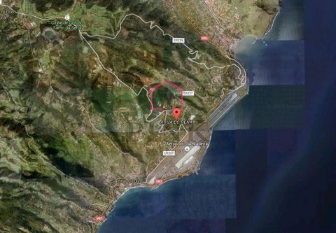 Excelente terreno llano, situado en la água de Pena - Machico 2 minutos de vía rápida, con buen acceso, a 10 minutos de Funchal y fácil de construir. Ideal para dos villas o para construcción comercial debido a su ubicación y el hecho de que tiene un...