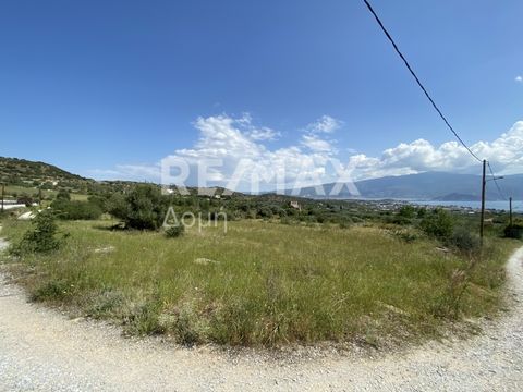 Property Code. 7652-9179 - Agricultural FOR SALE in Volos Nees Pagases for €55.000 . Discover the features of this 4050 sq. m. Agricultural: Distance from the city center: 7000 meters, Distance from nearest village: 2000 meters, Distance from nearest...