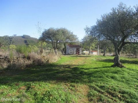 Excellent land with access in tar, with an area of 3.800m2, composed of olive trees, fruit trees and vines. It also has a rural construction, a well and a pond. Good access. Electricity nearby.