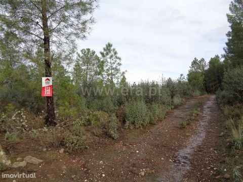 Forest land with good access on dirt. opportunity! Excluded from the SCE, under Article 4, of Decree-Law No. 118/2013 of 20 August.