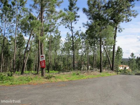 Pine forest with access to tarmac road, with water from the company, nearby electricity, well located in residential area. Mark your visit! Excluded from the SCE, under Article 4, of Decree-Law No. 118/2013 of 20 August.