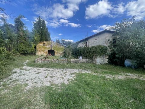 SIENA (SI), vicinity: near the centre of Siena, winery of approximately 85 hectares with farmhouse and annexes. The land, divided into 4 bodies, is composed of: * approximately 13 hectares of specialised Chianti Colli Senesi red IGT vineyard with pro...