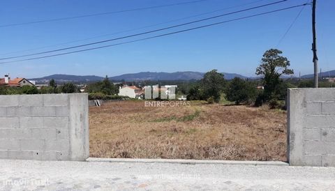 Sale of Land, São Romão de Neiva, Viana do Castelo, for construction with 4510m² and well. Located in the center of the parish, with great access. Ref. VCC13029 FEATURES: Land Area: 4 510 m2 Area: 4 510 m2 Useful Area: 4 510 m2 Energy Efficiency: Exe...