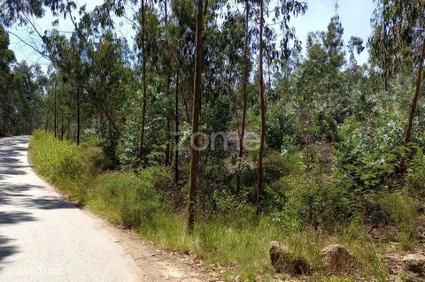 Property ID: ZMPT545594 Forest land with 20000 m2 located in Lugar de Espido in Vilarinho das Cambas. This plot of land is situated very close to the RIB Value. Great investment for forest valuation or for the construction of a dwelling of its own. T...
