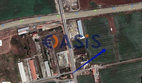 ID 31666080 Prix : 26 500 Euro Localisation : Burgas, Municipalité Pomorie, Varna Surface totale : 1318 m² m Catégorie - Terres agricoles, 3 catégories, vigne Idéal à des fins d’investissement. Paiement : Acompte de 5000 euros, 100% à la signature d’...