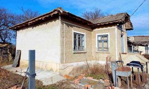 SUPRIMMO Agency : ... Nous vous présentons une vieille maison de plain-pied avec une grande cour dans le village de Kapinovo, municipalité générale de Toshevo, district de Dobrich. La propriété est située à la fin du village, à côté des vastes champs...