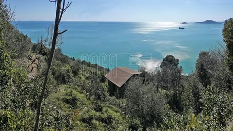 Immersed in nature and with a beautiful sea view, this stone cottage is located a short distance from Tellaro and Zanego. The property can only be accessed via a panoramic pedestrian path starting from Zanego going down the path for about 10 minutes ...