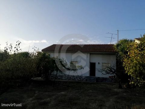 If you are looking for a small farm 2 minutes from Alcanena, 5 minutes from the Torres Novas junction on the A1, 10 minutes from Torres Novas, 1 hour from Lisbon, the Airport and the beaches of the west coast such as Peniche, come and visit this farm...