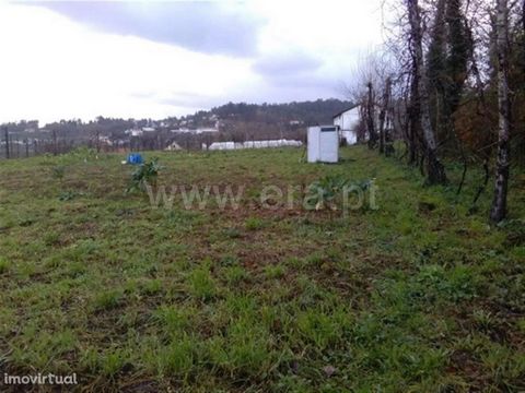 Rustic land in Golães Agricultural land with views of the city with good access and mine water. Buy with ERA Fafe ERA Fafe opened its doors in 2005 and built an upward path that is now recognized by the local and national market. Guided by maximum cu...