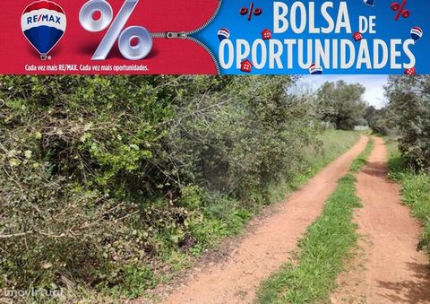 Land with 1.800 m2 It is located in the parish of Moreiras Grandes, municipality of Torres Novas. Visit this opportunity See you soon!   The good opportunities live here - if you want to sell, rent or buy apartment, villa or other contact us. The mis...