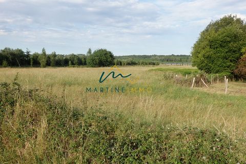 Agricultural land with an area of 3ha42a31ca with an accessibility passage 20m wide. On the land is a building in a state of ruin. For any further information, the Martine Immo agency in Marmande is at your disposal. Seller's fee