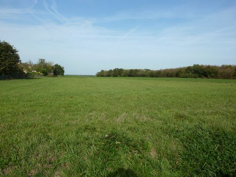 OFFRE EN COURS. NOUVEAUTE. GOVEN.EXCLUSIVITE YSIMMO35 Pour lotisseurs, aménageurs ou constructeurs.Magnifique terrain à bâtir de 2000 m2 environ,situé proche du bourg de Goven mais avec un environnement de campagne. Très bonne exposition et vue dégag...