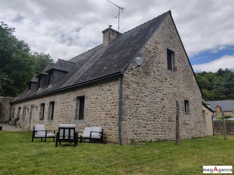 Grande Maison familiale- Vue Château -Centre Bourg
