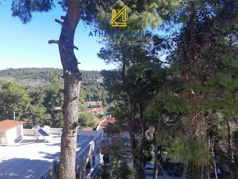 I ett grönt landskap med obegränsad utsikt över Agios Stefanos, ligger bottenvåningen lägenhet på 117 kvm. Den består av: 3 sovrum, 1 badrum, 1 wc, 1 kök, 1 vardagsrum. Den byggdes 2004. Uppvärmningen av fastigheten är autonom med olja, har aluminium...