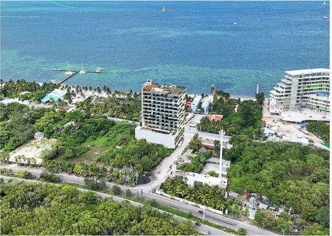 This project represents an experience through the exquisite nature of Costa Mujeres, along with the turquoise sea and tropical latitudes that make up the mangrove swamp. 1 bedroom apartments with sea view from 4,336,029 pesos (mangrove view from 3,84...