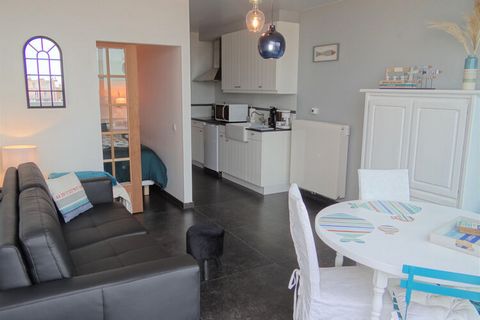 Cozy 1 bedroom apartment with sea view Wifi and digital TV available Washing machine and dryer available Located amidst the bustling streets of Nieuwpoort's captivating coastal town, this exceptional apartment epitomizes the epitome of modern comfort...