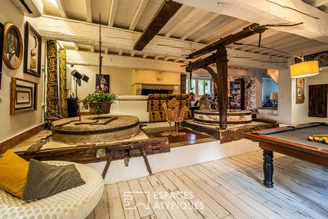In the immediate catchment area of Carcassonne, this charming 1.2 ha property is home to a watermill whose construction dates back to 1687. With a living area of approximately 590m2, the latter has benefited from a quality renovation and will be adap...