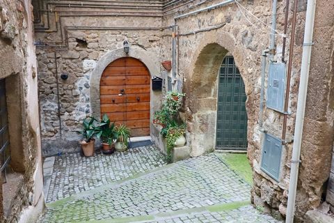 This independent apartment for sale in Vetralla is a perfect opportunity for those looking for a housing solution in the historic center. Located on the ground floor, it offers a total of 117 square meters divided as follows: a large entrance-hallway...