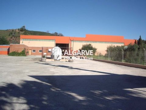 Located in Tavira. Set of 2 warehouses with 4,569 sq.m. located in Santa Catarina da Fonte do Bispo. They have mains water and own borehole. Equipped with propane gas tank for 22,000 litters and own electric power station of 250 KVA. It has an high c...
