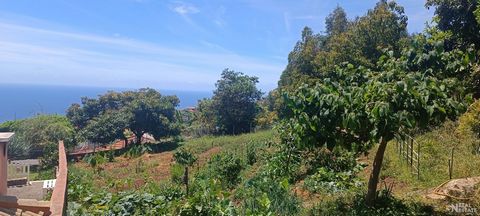 Terrain avec 1710 mètres carrés, avec plusieurs arbres fruitiers, situé à Santo António, avec vue sur la mer et la montagne, étant possible la construction d’une villa. Sur le terrain, il y a deux structures de type botte de foin, qui ont toutes deux...