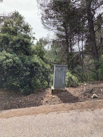 Building plot of 700 square meters in the Nueva Sierra Urbanization. Located between the provinces of Cuenca and Guadalajara in the heart of the Sierra de Altomira and at the foot of the Bolarque reservoir that allows both bathing and water sports, i...