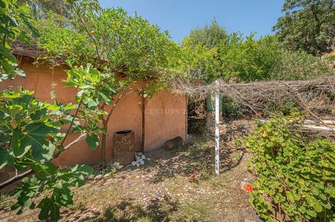 Land with ecological and sustainable farm of 24,800 square meters that is located 2.5 km from Guaro is a charming and respectful place with the environment. It is surrounded by lush greenery and stands out for its various fruit trees and olive trees....