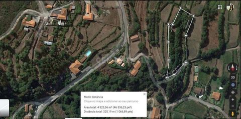 Inserted in a quiet village, precisely in s. Julião, municipality of Valença, this land with 4316m2 is without a doubt a project that can easily be transported to your reality as the base of your dream home. Looking for a small oasis in a community? ...