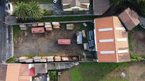 **Unique Investment Opportunity in Rabo de Peixe** **Wood Sawmill and High Potential Warehouses + 4 bedroom house** Welcome to an exceptional investment opportunity in the heart of Rabo de Peixe, an area rich in history and economic potential. This u...