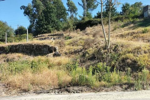 Terrain avec 1500 m2 pour la construction