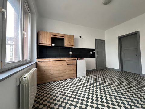 Beautiful bright apartment on the ground floor in Lauterbourg, surface area 48m2, including entrance, fitted kitchen, living room, bedroom, shower room with toilet, cellar. Recently renovated, electric heating and wood burning stove in the living roo...
