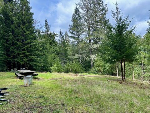 23+ acre parcel, good road access, nice meadow area with several usable acres, zoned timber production, just 8.7 miles to Corralitos Market, great area for camping, mountain biking, relaxing, zoned TP for timber production, nice forested parcel has b...