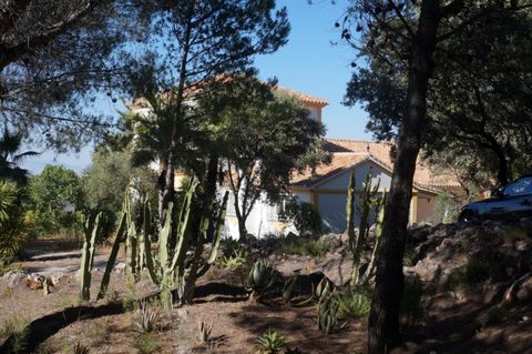 Stunning Finca situated on 50.000 sqm. of private and fenced property. Panoramic views to the village of Monda, mountains and surrounding area. Located just minutes to the village centre with tarmac road access in very private area. Distributed on 3 ...