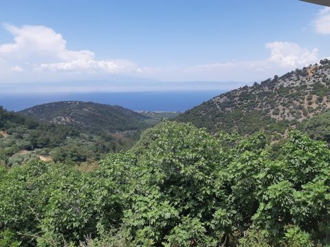 Property Code. 11499 - Agricultural FOR SALE in Thasos Sotiras for € 55.000 . Discover the features of this 800 sq. m. Agricultural: Distance from sea 2400 meters, Distance from nearest village: 500 meters, facade length: 21 meters, depth: 32 meters ...