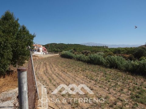 The Cortijo de la Finca 'El Recreo' is a house more than 100 years old, in which all the elements of the typical Andalusian Cortijo-Houses have been preserved. It has a central Andalusian courtyard, which leads to the ground floor, to the kitchen-roo...