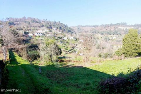 Agricultural land with 7200m2, facing a public path of more than 500m, inclined to the east. Ideal for fruit trees, vineyards and vegetables in general. The land has very good access and is 200m from the EN108.