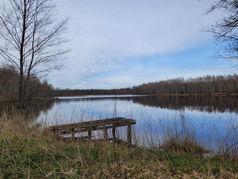 Magnificent 7ha pond located approximately 1h30 from Basel. Suitable for fishing, swimming or even water skiing. The bank and other land with forest, in total more than 14ha (140,000 m2), are part of it. Before you travel, take advantage of our guide...