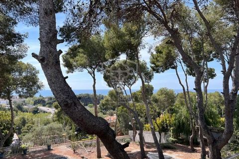 Plot with sea view on sale in Castelldefels. The plot is located in one of the prestigious urbanizations overlooking the sea, within 5 minutes to the beach and all city infrastructure. The plot has a regular rectangular shape and a slight inclination...