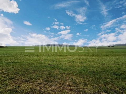 Enorme groene ruimte voor landbouw, bloementeelt of zonne-energie Deze veelzijdige groene ruimte biedt een unieke kans voor agrarisch gebruik en plantenteelt. Dankzij de royale oppervlakte en vruchtbare grond is het pand ideaal voor boeren en tuinder...