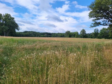 Two parcels of high quality grazing land available, located close to a town in South West of Indre. Each plot would suit either hay production or grazing land, especially for horses and each is easily enclosed for added security. The vendor is prepar...