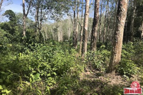 Over 16 Rai of land is for sale in beautiful Phang Nga. The land plot (16-0-95) is flat and square, very easy to built on. It is only a 10 minute drive to the sea from the property. Currently there is a 18 year old rubber plantation being utilized on...