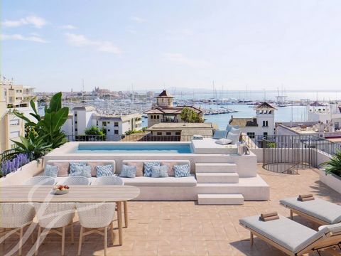 This penthouse has a private rooftop terrace with a pool and lounge area with lovely planters with green elements all around and a total of 74m2 indoor living space, a 14.8m2 of covered terrace on level and 73m2 of exterior which includes two bedroom...