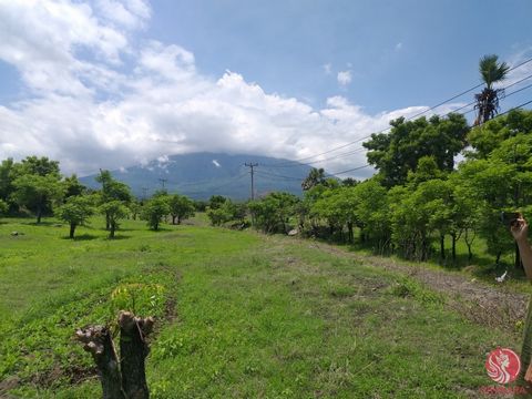 Discover your piece of paradise with this stunning 286 square meter allotment of land located in the ethereal island of Bali, Indonesia. Nestled amidst lush tropical greenery and vibrant local culture, this is more than just a plot; it’s an opportuni...